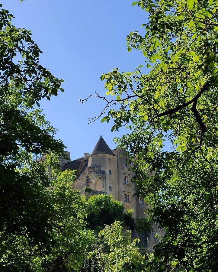 Petite Maison En Pierre Au Coeur Du Perigord Noir Proche De Sarlat Et Rocamadour Salignac Eyvigues Exterior foto