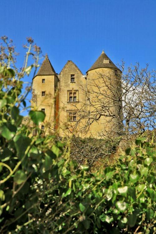 Petite Maison En Pierre Au Coeur Du Perigord Noir Proche De Sarlat Et Rocamadour Salignac Eyvigues Exterior foto